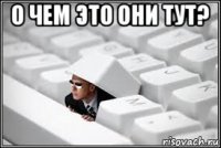 о чем это они тут? 