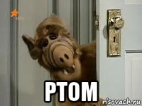  ртом
