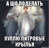 а шо поделать куплю литровые крылья