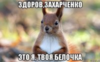 здоров,захарченко это я, твоя белочка