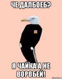 че далбоеб? я чайка а не воробей!