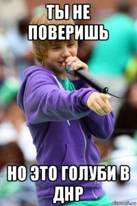 ты не поверишь но это голуби в днр