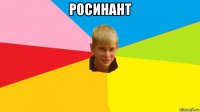 росинант 