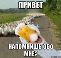 привет напомнишь обо мне?