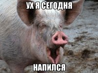 ух я сегодня напился