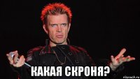  какая скроня?