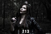  2 1 3