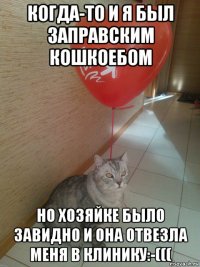 когда-то и я был заправским кошкоебом но хозяйке было завидно и она отвезла меня в клинику:-(((