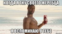 когда я гну своего жеребца я вспоминаю о тебе