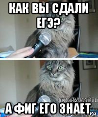 как вы сдали егэ? а фиг его знает