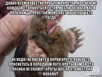 давно всем известна проблема кротов, но с нею не каждый столкнуться готов. и если загнала вас в поле нужда, простой мой совет вы услышьте тогда: не надо! не писайте в норки кроту! поверьте, проснетесь в холодном поту. кроты вам за это спасибо не скажут! кроты вас за это жестоко накажут.