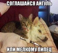 соглашайся айгуль или мелкому пипец