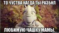 то чуства кагда ты разбил любимую чашку мамы.