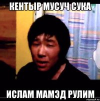 кентыр мусуч сука ислам мамэд рулим