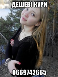 дешеві кури 0669742665