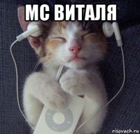 мс виталя 