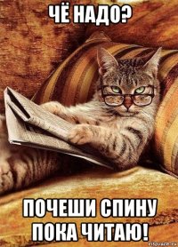 чё надо? почеши спину пока читаю!