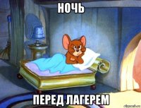 ночь перед лагерем