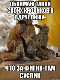 обнимаю такой своих кроликов,и вдруг вижу- что за фигня-там суслик