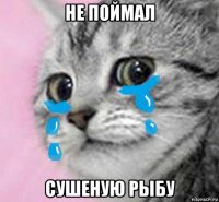 не поймал сушеную рыбу