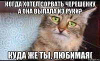 когда хотел сорвать черешенку а она выпала из руки? куда же ты, любимая(