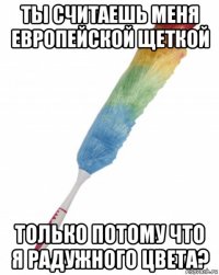 ты считаешь меня европейской щеткой только потому что я радужного цвета?