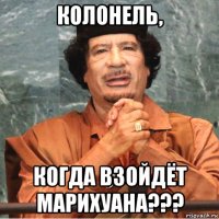 колонель, когда взойдёт марихуана???