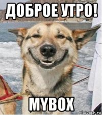 доброе утро! mybox