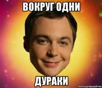 вокруг одни дураки
