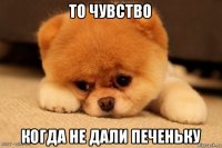 то чувство когда не дали печеньку
