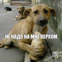 Не надо на мне верхом 