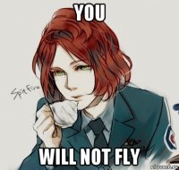 you will not fly