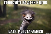 голосуйте за дтэк и цгок батя, мы стараемся