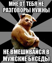 мне от тебя не разговоры нужны не вмешивайся в мужские бкседы