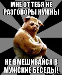 мне от тебя не разговоры нужны не вмешивайся в мужские беседы!