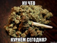 ну что курнём сегодня?
