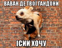 ваван де твої гандони ісии хочу