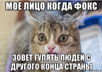мое лицо когда фокс зовет гулять людей с другого конца страны