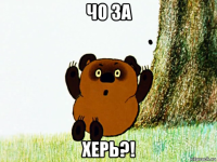 чо за херь?!