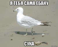 я тебя сама ебану сука