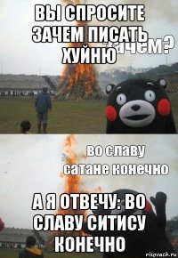 вы спросите зачем писать хуйню а я отвечу: во славу ситису конечно