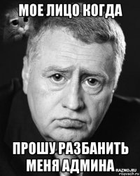 мое лицо когда прошу разбанить меня админа
