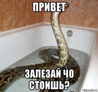 привет залезай чо стоишь?
