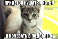 придется кушать листья и ночевать в подвале(((