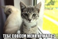  тебе совсем меня не жаль?