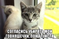  согласись убирать мои говняшечки, пожалуйста