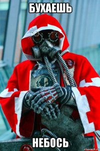 бухаешь небось