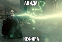авида кефира