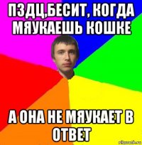пздц,бесит, когда мяукаешь кошке а она не мяукает в ответ