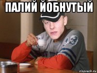 палий йобнутый 
